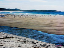 Gulls on the Beach IX von Carlos Segui