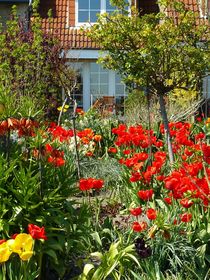 Frühlingsgarten  von gscheffbuch