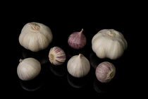 Knoblauch-Ensemble 2 by Erhard Hess