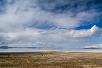 Mirrored Clouds by Brent Olson