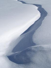 Spuren im Schnee von Frank Rother