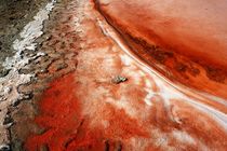 Salinas de Janubio von Frank Rother