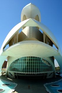 Valencia, Palau de les Arts Reina Sofía von Frank Rother