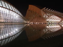 Valencia, Ciudad de las Artes y las Ciencias von Frank Rother