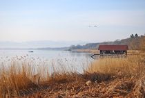 Ammersee Morgenstimmung... 10 von loewenherz-artwork