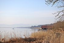 Ammersee Morgenstimmung... 1 von loewenherz-artwork