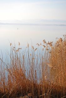 Ammersee Morgenstimmung... 13 by loewenherz-artwork