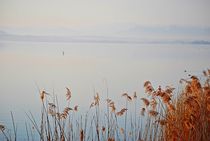 Ammersee Morgenstimmung... 18 by loewenherz-artwork