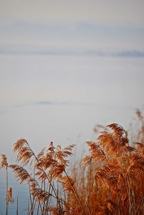 Ammersee Morgenstimmung... 19 von loewenherz-artwork