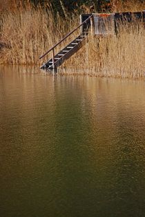 Ammersee Morgenstimmung... 23 von loewenherz-artwork