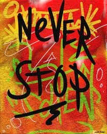 Never Stop by Vincent J. Newman