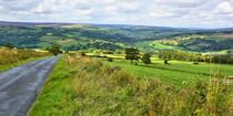 Liebliche Landschaft in den North York Moors by gscheffbuch