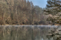 Winter Reflectons von David Tinsley