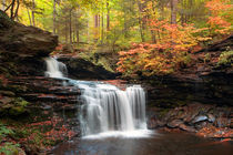 R. B. Ricketts in the Changing Forest von Gene Walls