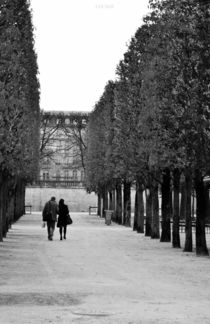 Liebe in Paris von Luigi Luca Genua