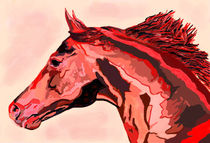 Portrait Red Horse by Sandra  Vollmann