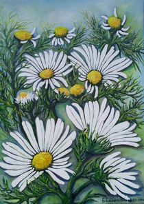 Kamille Blumen von G.Elisabeth Willner