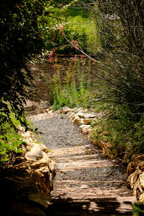 Rustic stairs in a garden by Claudia Botterweg