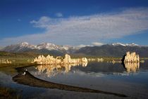 Mono Lake 3 by Bruno Schmidiger