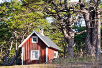 lonely summerhouse - sommarstuga by Thomas Matzl