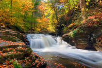 Brilliant Fall Hues Highlight Conestoga Falls von Gene Walls