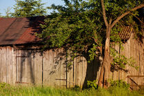 old wooden shack lone tree  by Arletta Cwalina