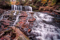 Mohawk Comes Alive After The Autumn Rain von Gene Walls