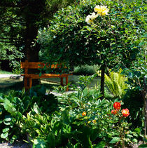 Gartenoase im Sommer. von li-lu