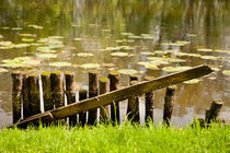 Old broken wooden fence von Arletta Cwalina