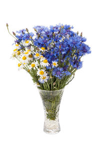 White camomile and blue cornflower von Arletta Cwalina