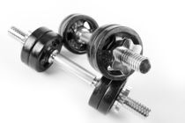 Chrome bolt on hand barbells weights by Arletta Cwalina
