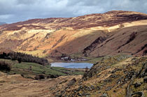 Watendlath Tarn von Roger Green