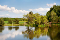 Lake and trees rural landscape by Arletta Cwalina