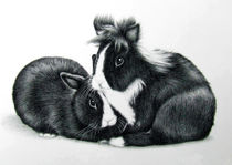 Kaninchen Paar - Rabbits von Nicole Zeug