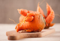 Fresh raw deformed carrot roots by Arletta Cwalina
