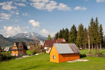 Bucolic view in Koscielisko village von Arletta Cwalina