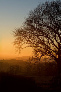 Raddon Hill at sunset by Pete Hemington