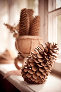 Large old dried cones on windowsill von Arletta Cwalina