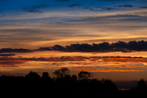 Twilight colorful sunset with trees von Arletta Cwalina