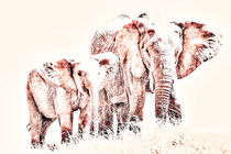 Animals Of The Rainbow Elephants by Aidan Moran