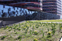 Hamburg - Frühling in Hamburg-Wilhelmsburg 4 von Marc Heiligenstein