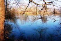 Blauer See mit Baeumen by Anke Franikowski