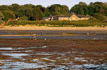 Bait Digging At Bembridge von Rod Johnson