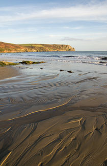 Carne Beach and Nare Head von Pete Hemington