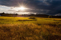 Awesome sunset above meadow by Arletta Cwalina