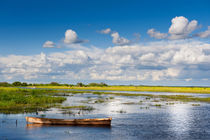 wooden boat in Biebrza wetland von Arletta Cwalina