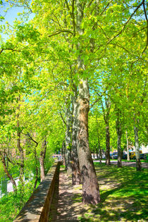 Ein frühlingshafter Park in Aschaffenburg von Gina Koch