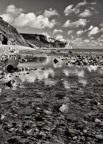 Branscombe Ebb von Pete Hemington