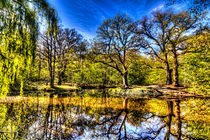 Pond Reflections von David Pyatt