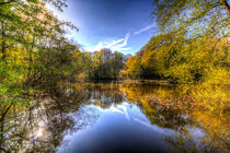 The Mirror Pond by David Pyatt